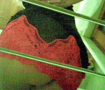 Foto pública de vittoriaviky